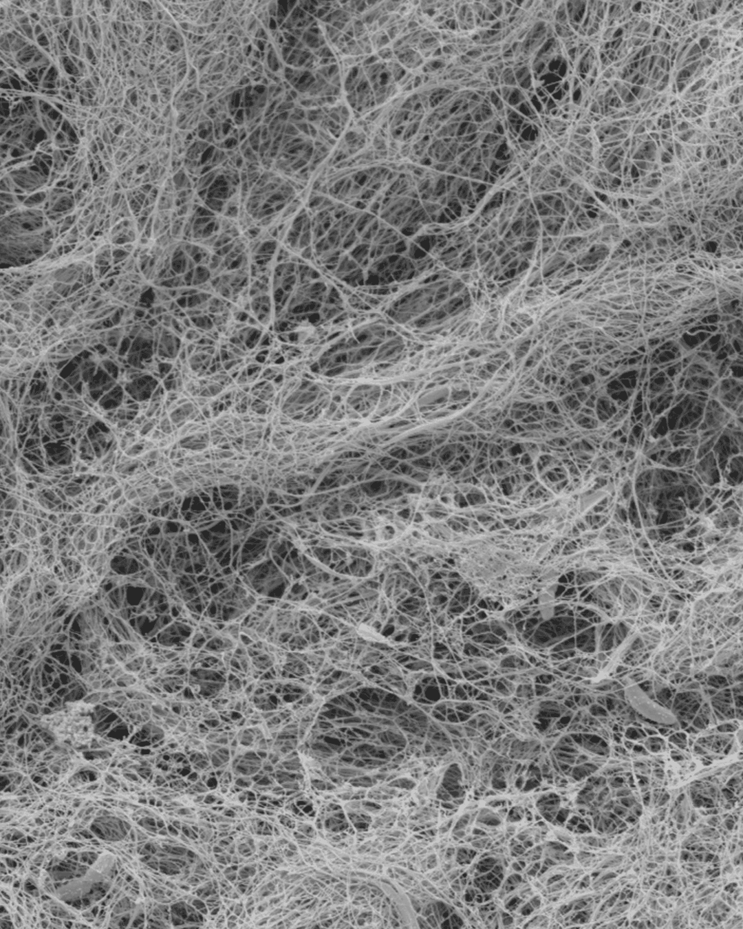 Biomaterials company in a collaborative meeting